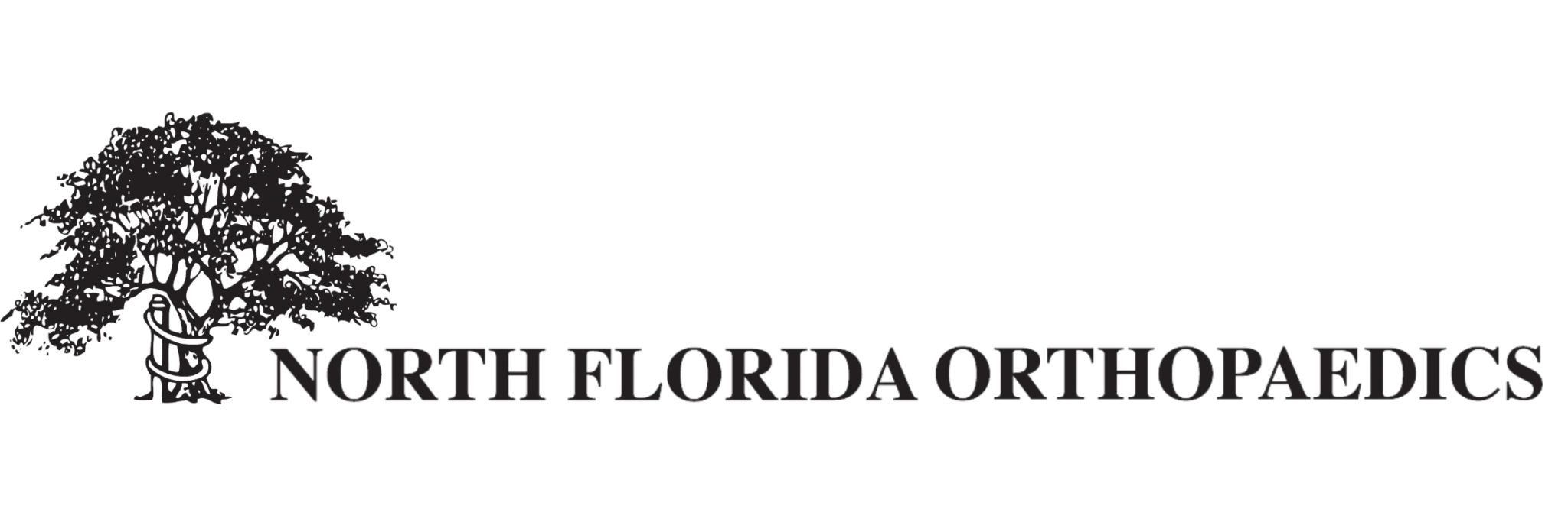 Alexander Loeb North Florida Orthopaedics